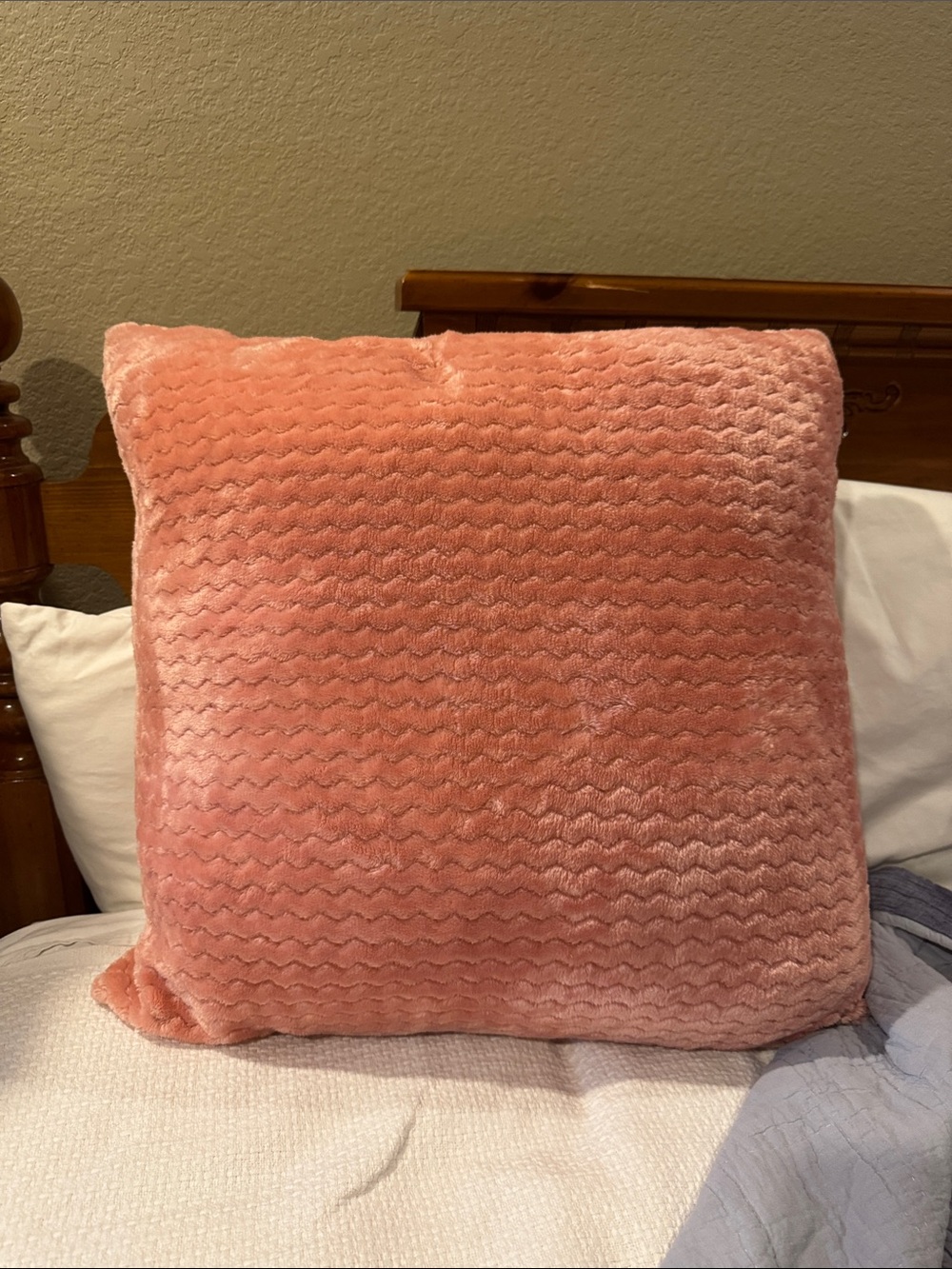 Target Coral Plush Decorative Throw Pillow